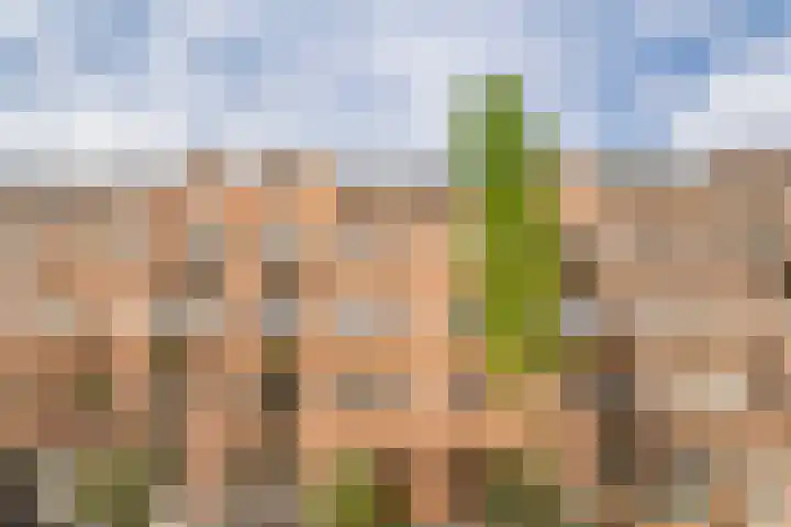 Admiraal De Ruijterweg 157 4 Amsterdam thumbnail 6