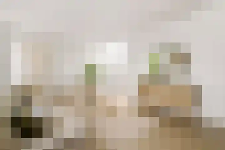 Admiraal De Ruijterweg 157 4 Amsterdam thumbnail 8