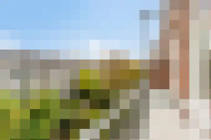 Admiraal De Ruijterweg 158 2 Amsterdam thumbnail 4