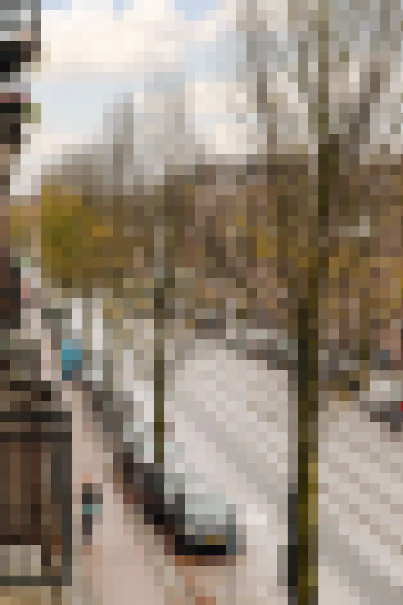 Admiraal De Ruijterweg 167 C Amsterdam thumbnail 9