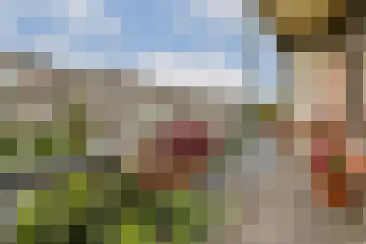 Admiraal De Ruijterweg 169 2 Amsterdam thumbnail 11