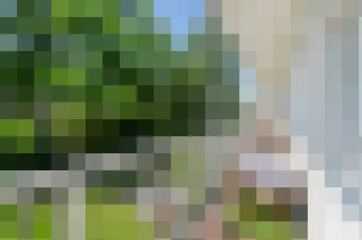 Admiraal De Ruijterweg 231 3 Amsterdam thumbnail 34