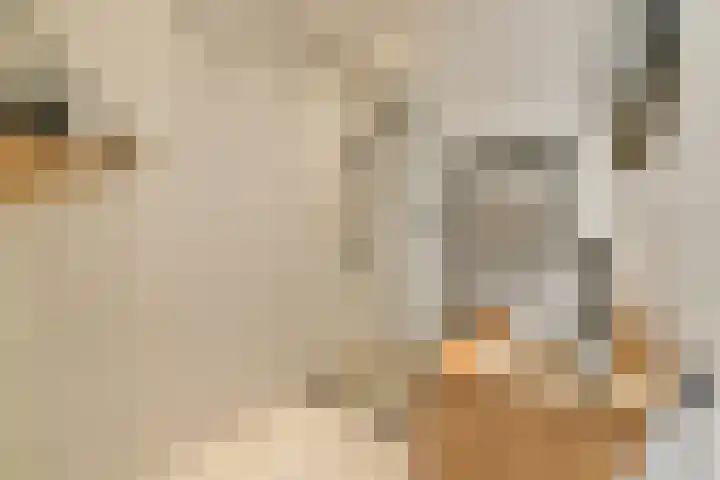 Admiraal De Ruijterweg 237 4 Amsterdam thumbnail 13