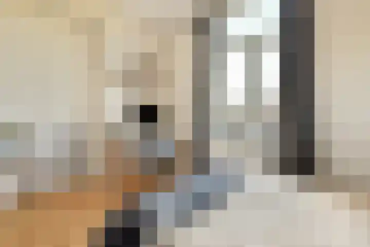 Admiraal De Ruijterweg 237 4 Amsterdam thumbnail 16