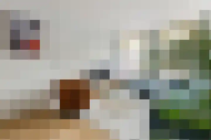 Admiraal De Ruijterweg 237 4 Amsterdam thumbnail 8