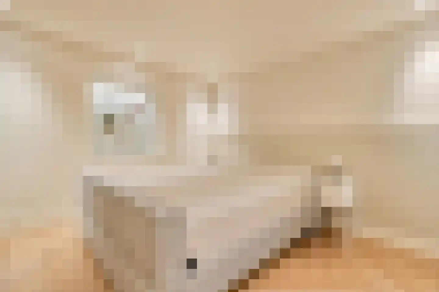Admiraal De Ruijterweg 237 H Amsterdam thumbnail 34