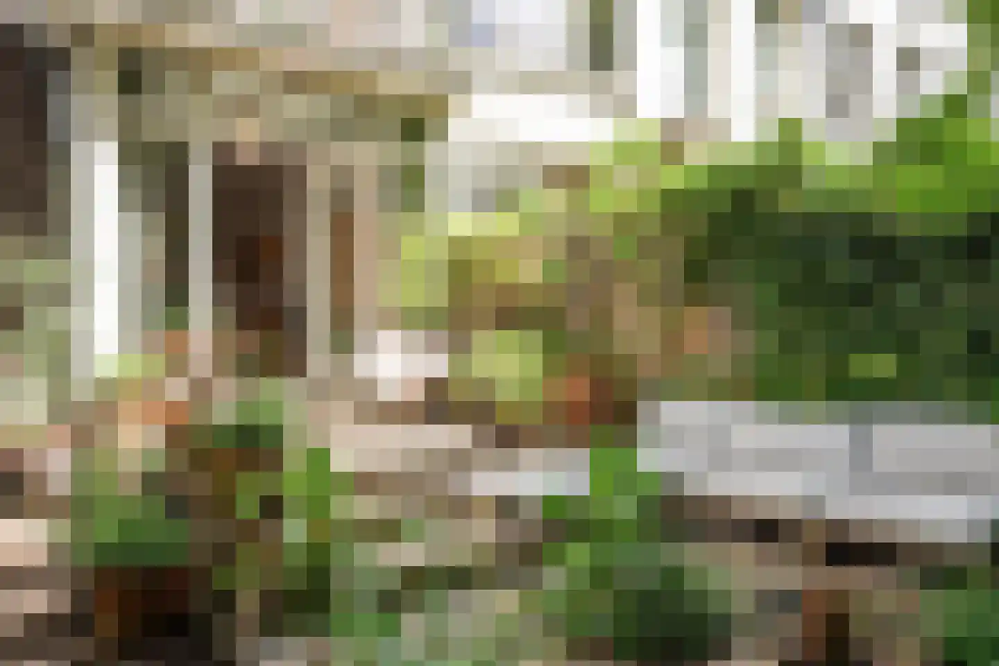 Admiraal De Ruijterweg 243 H Amsterdam thumbnail 21