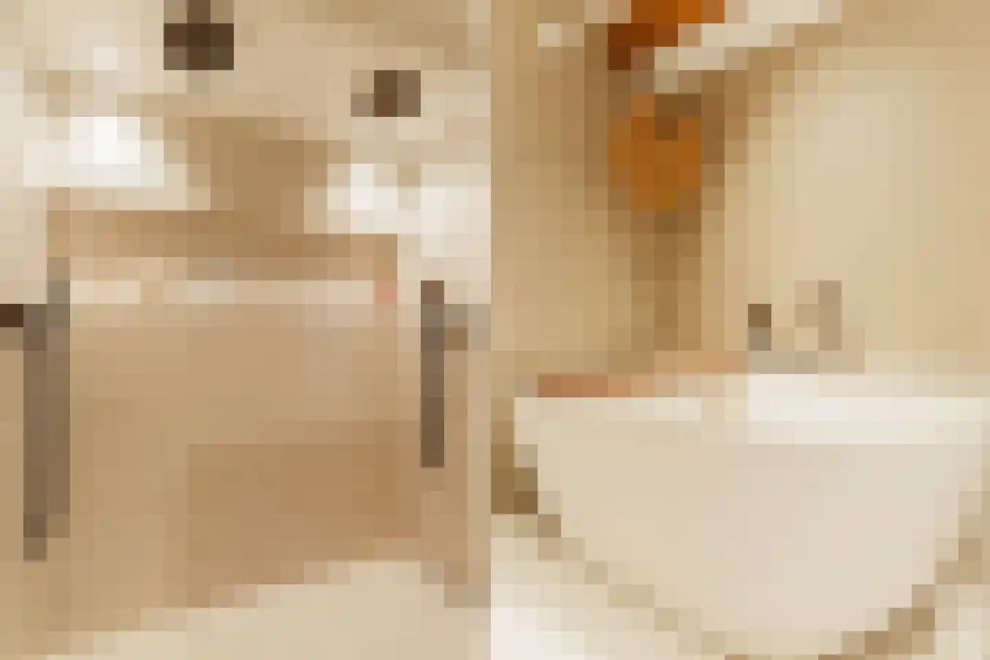 Admiraal De Ruijterweg 243 H Amsterdam thumbnail 43