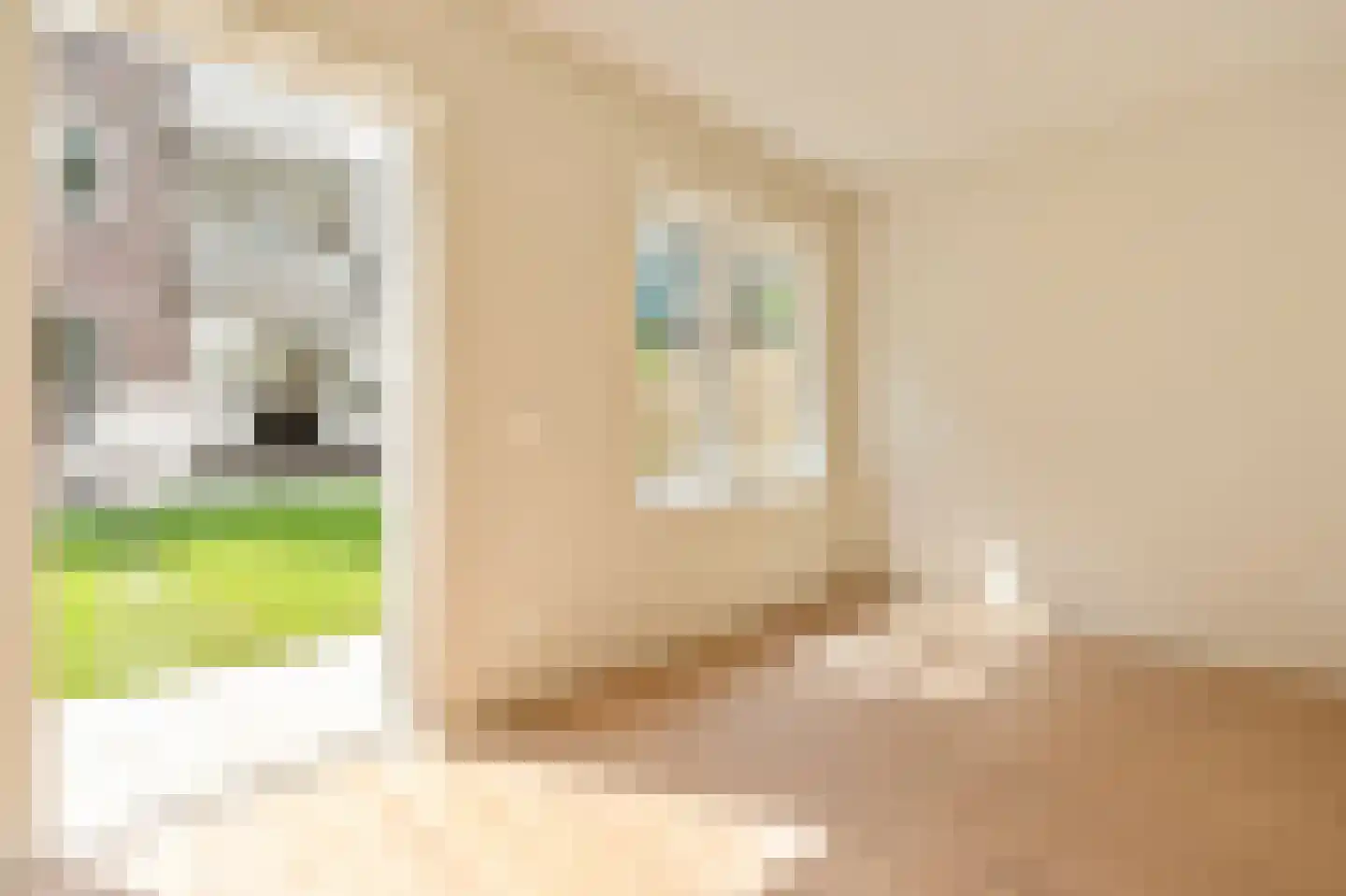 Admiraal De Ruijterweg 254 C Amsterdam thumbnail 20