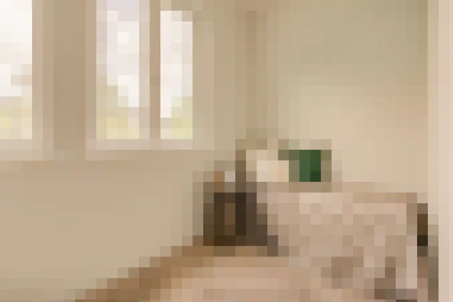 Admiraal De Ruijterweg 254 C Amsterdam thumbnail 24
