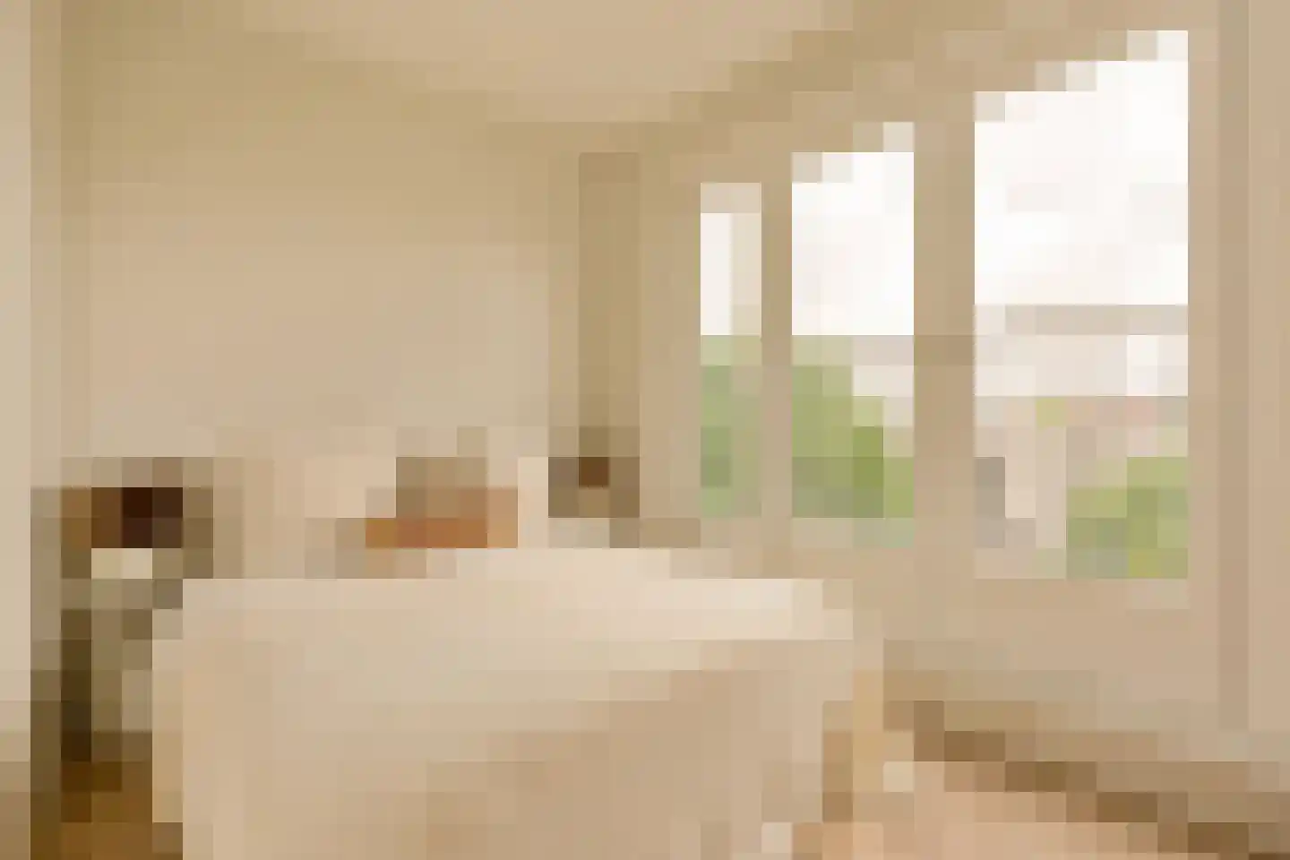 Admiraal De Ruijterweg 254 D Amsterdam thumbnail 26