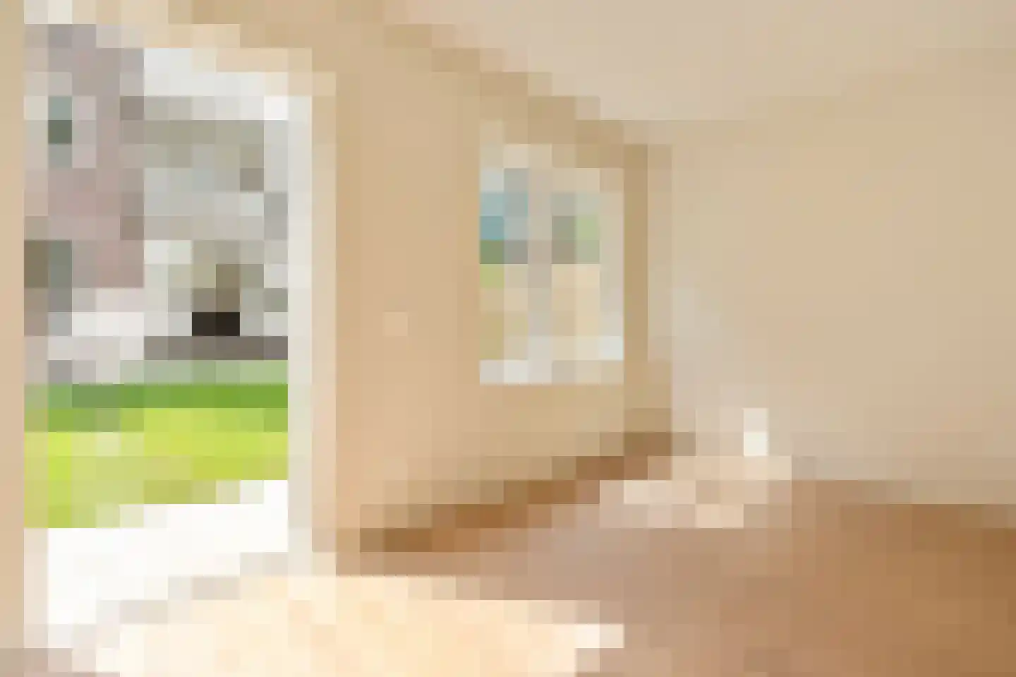 Admiraal De Ruijterweg 254 E Amsterdam thumbnail 20