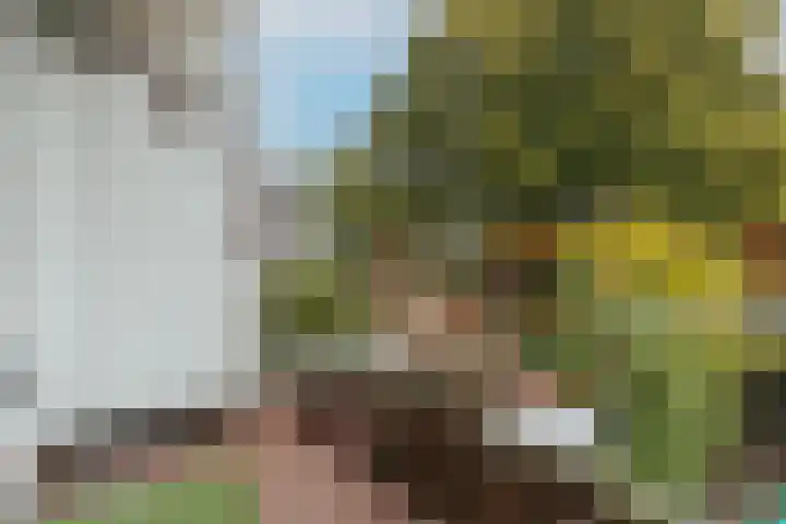 Admiraal De Ruijterweg 256 2 Amsterdam thumbnail 16
