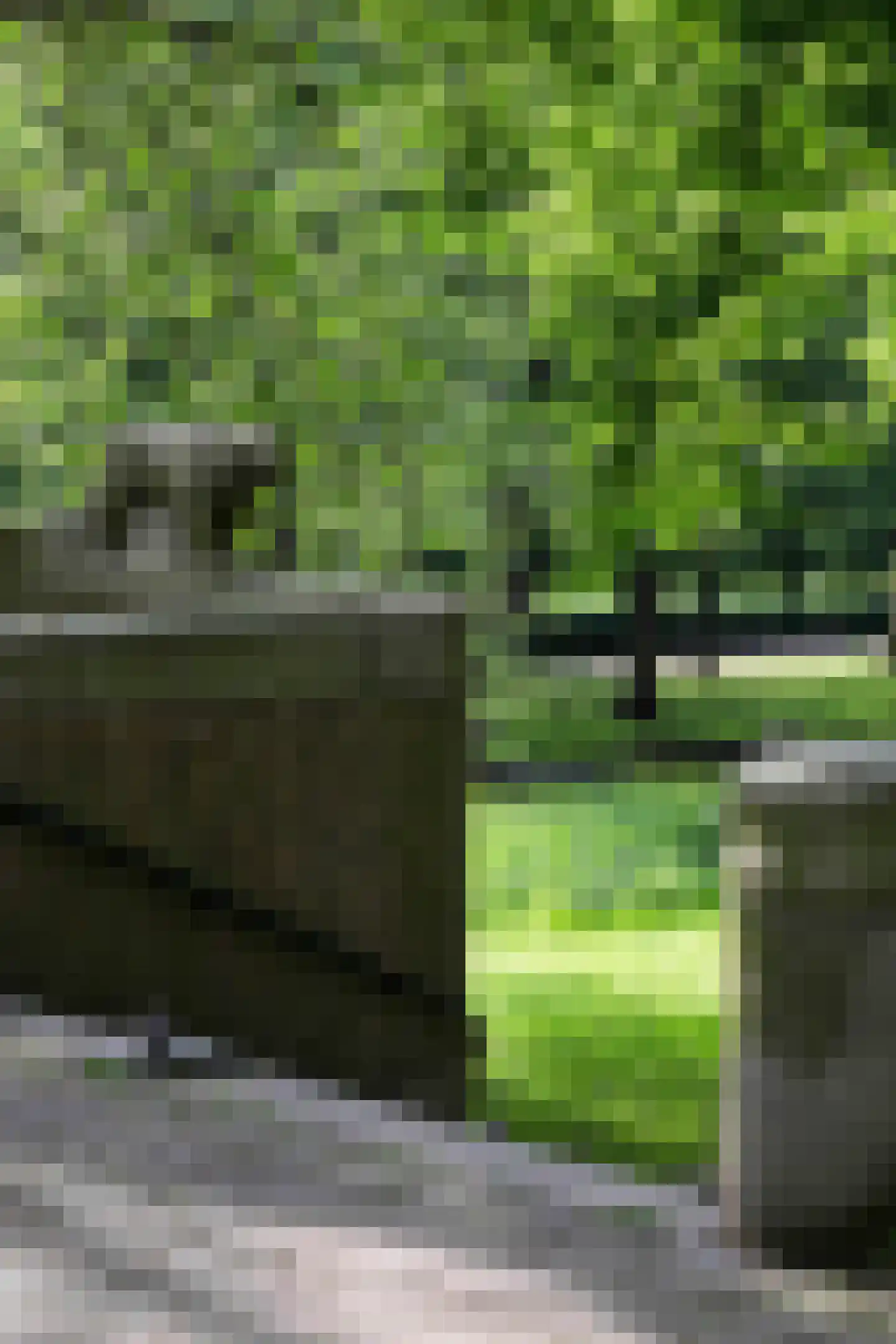 Admiraal De Ruijterweg 258 3 Amsterdam thumbnail 52