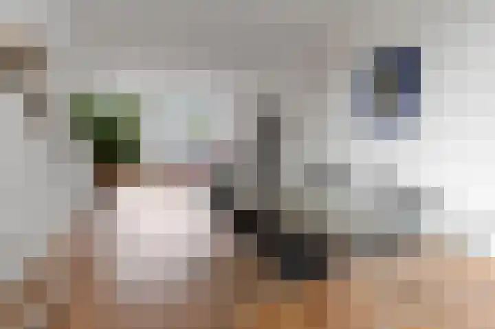 Admiraal De Ruijterweg 266 H Amsterdam thumbnail 16