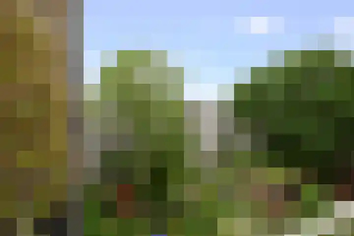 Admiraal De Ruijterweg 266 H Amsterdam thumbnail 19