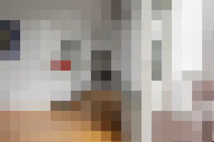 Admiraal De Ruijterweg 266 H Amsterdam thumbnail 21
