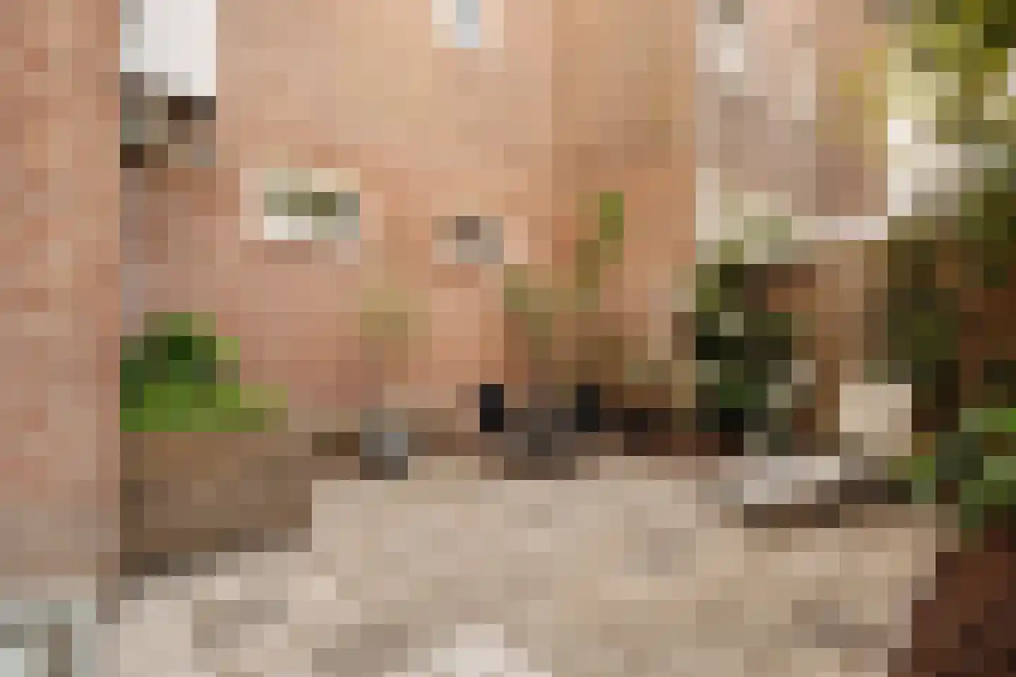 Admiraal De Ruijterweg 277 2 Amsterdam thumbnail 16