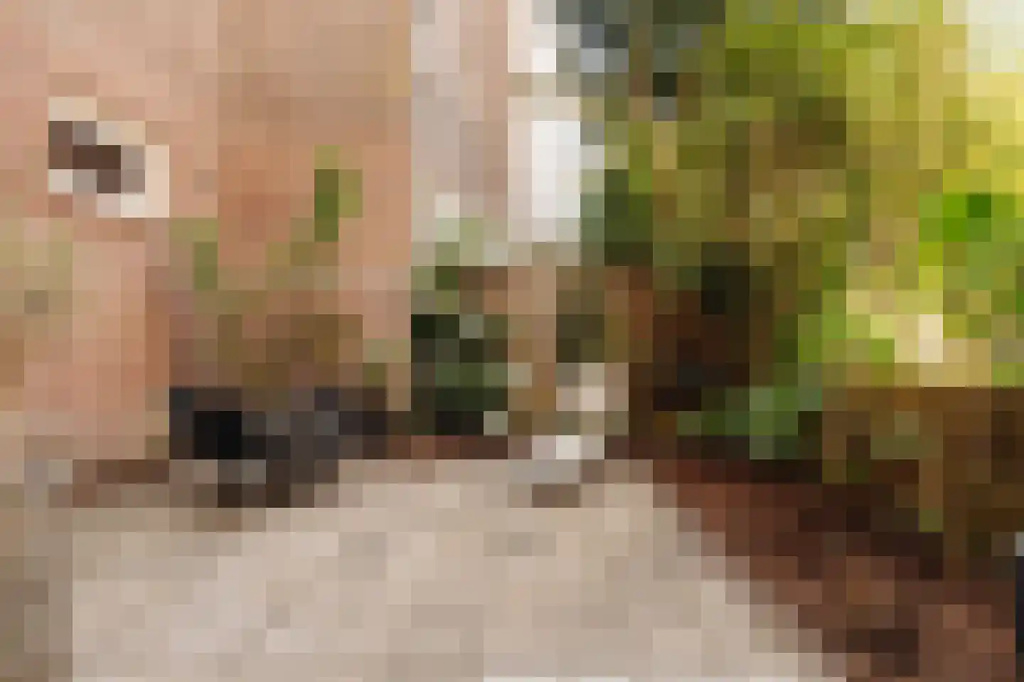 Admiraal De Ruijterweg 277 2 Amsterdam thumbnail 5