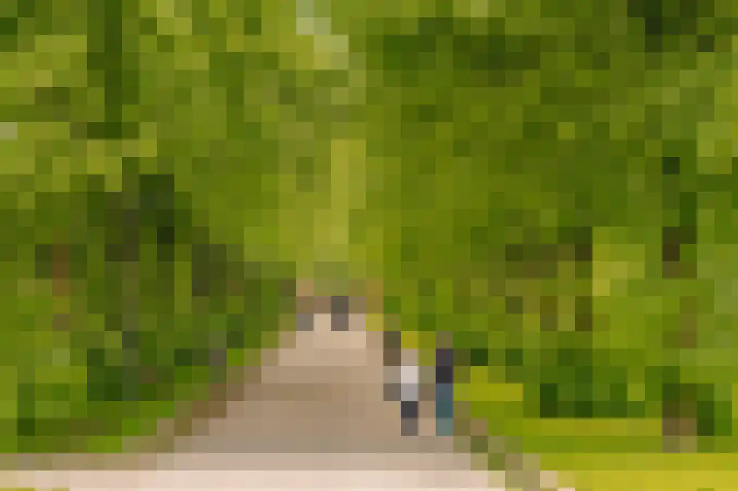 Admiraal De Ruijterweg 278 2 Amsterdam thumbnail 32