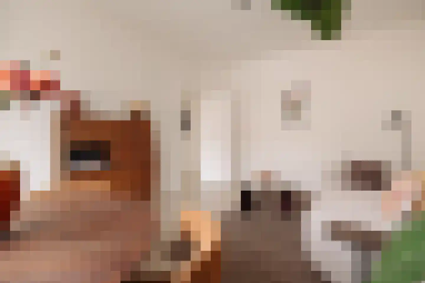 Admiraal De Ruijterweg 278 2 Amsterdam thumbnail 4