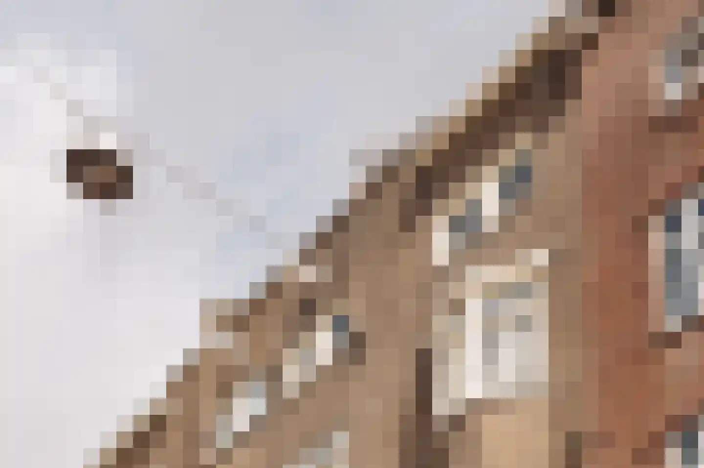 Admiraal De Ruijterweg 278 4 Amsterdam thumbnail 9