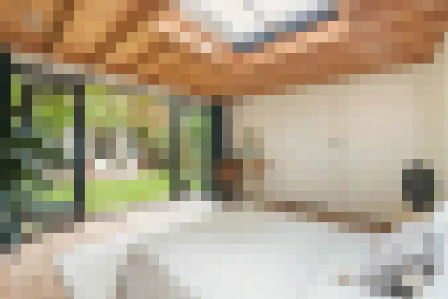 Admiraal De Ruijterweg 291 H Amsterdam thumbnail 32