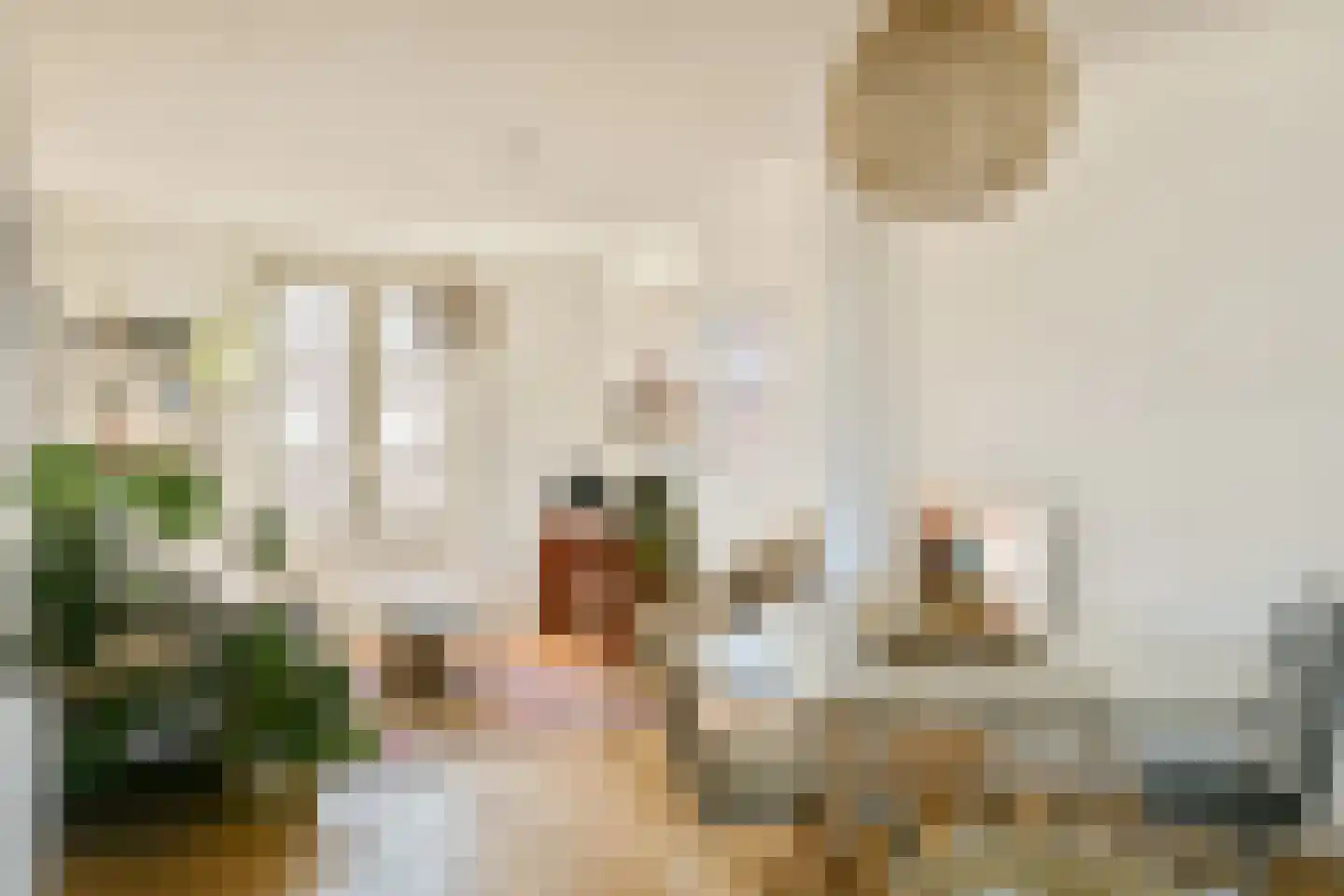 Admiraal De Ruijterweg 315 H Amsterdam thumbnail 4