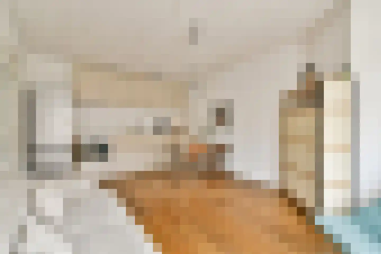Admiraal De Ruijterweg 316 C Amsterdam thumbnail 6