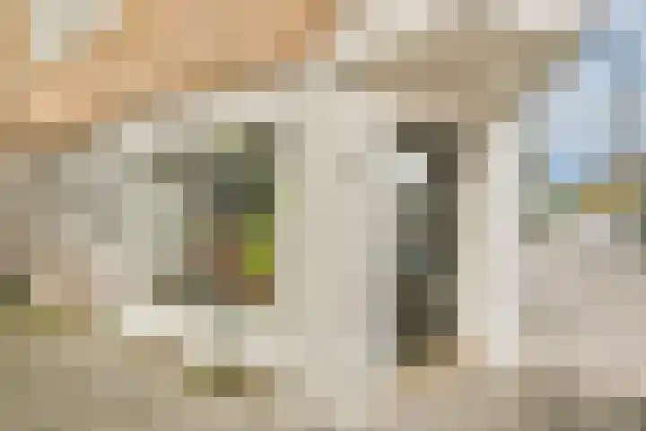Admiraal De Ruijterweg 323 1 Amsterdam thumbnail 33