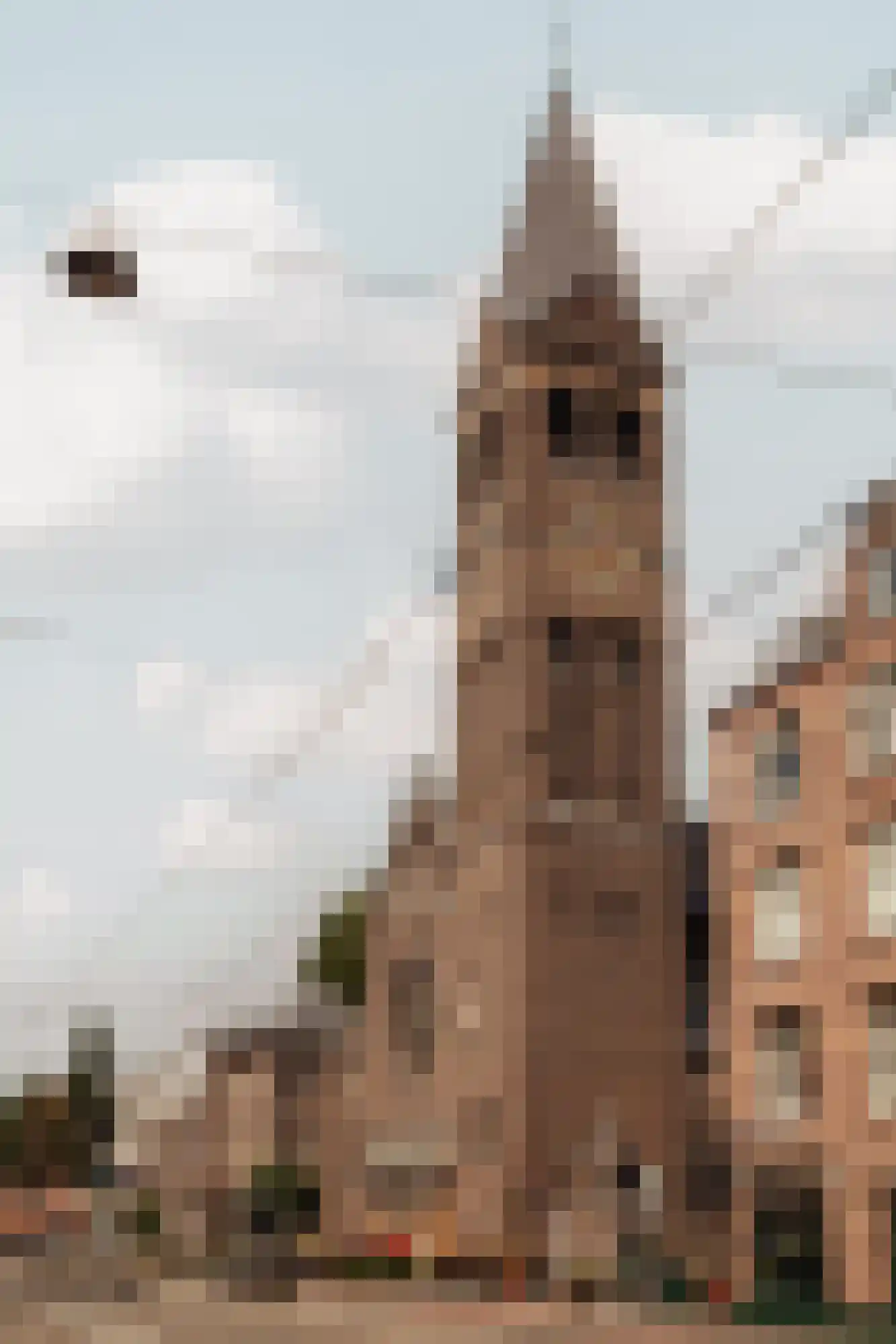 Admiraal De Ruijterweg 348 3 Amsterdam thumbnail 19