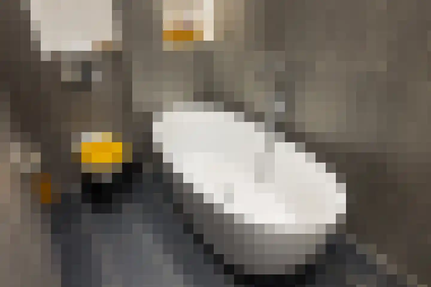 Admiraal De Ruijterweg 352 1 Amsterdam thumbnail 29