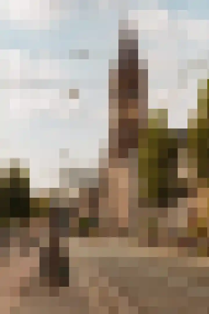 Admiraal De Ruijterweg 361 2 Amsterdam thumbnail 30