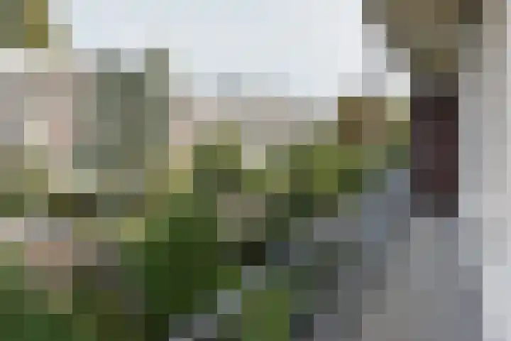 Admiraal De Ruijterweg 384 H Amsterdam thumbnail 4