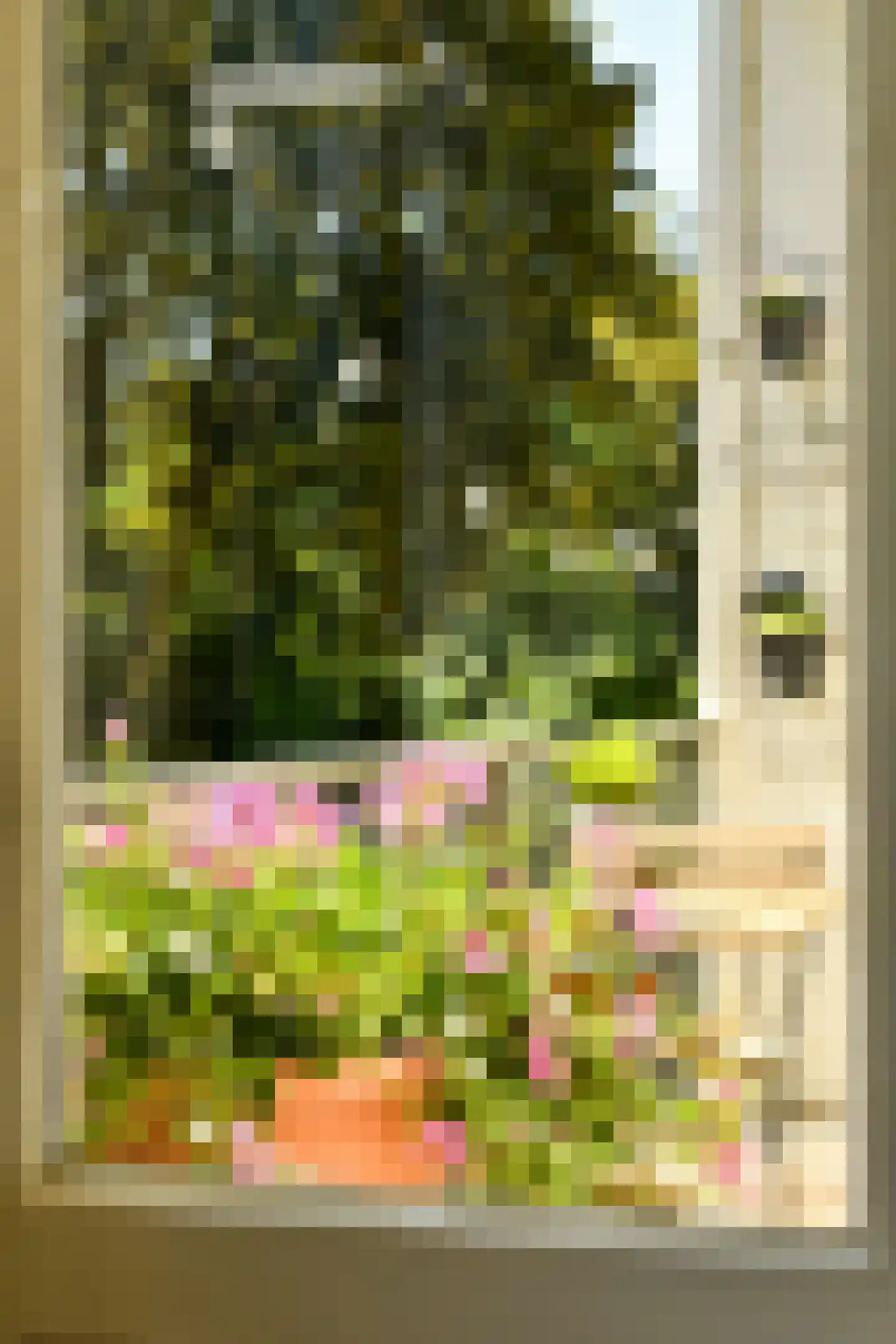 Admiraal De Ruijterweg 41 2 Amsterdam thumbnail 29