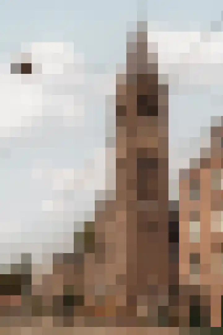 Admiraal De Ruijterweg 411 1 Amsterdam thumbnail 19
