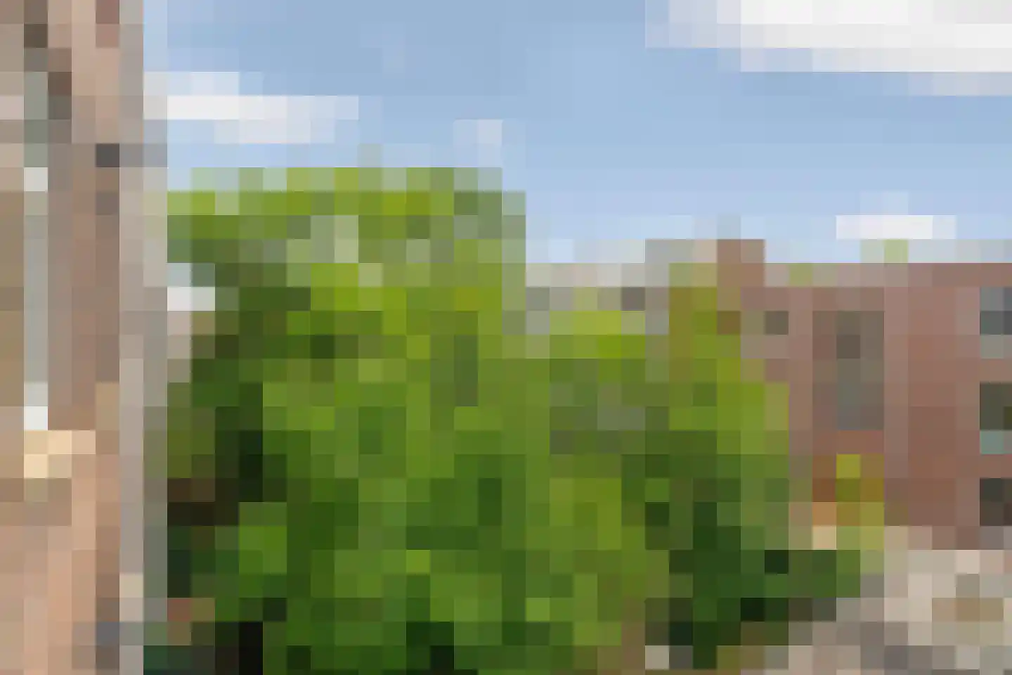 Admiraal De Ruijterweg 420 2 Amsterdam thumbnail 20