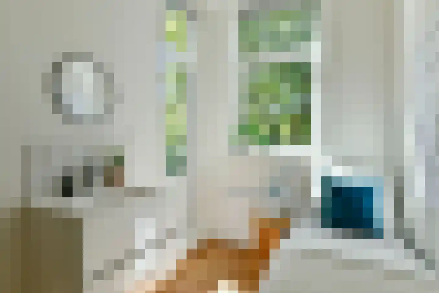 Admiraal De Ruijterweg 45 2 Amsterdam thumbnail 18