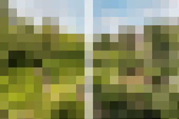 Admiraal De Ruijterweg 465 1 Amsterdam thumbnail 9