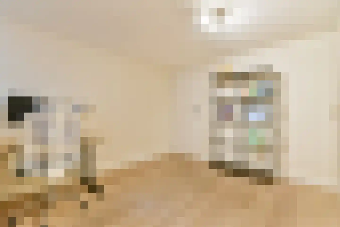 Admiraal De Ruijterweg 527 1 Amsterdam thumbnail 18