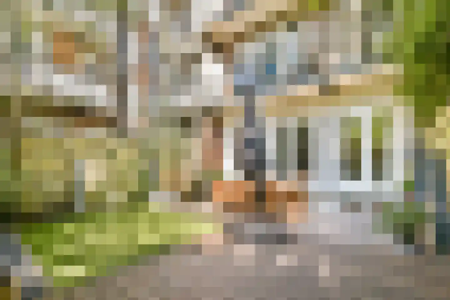 Admiraal De Ruijterweg 527 1 Amsterdam thumbnail 9
