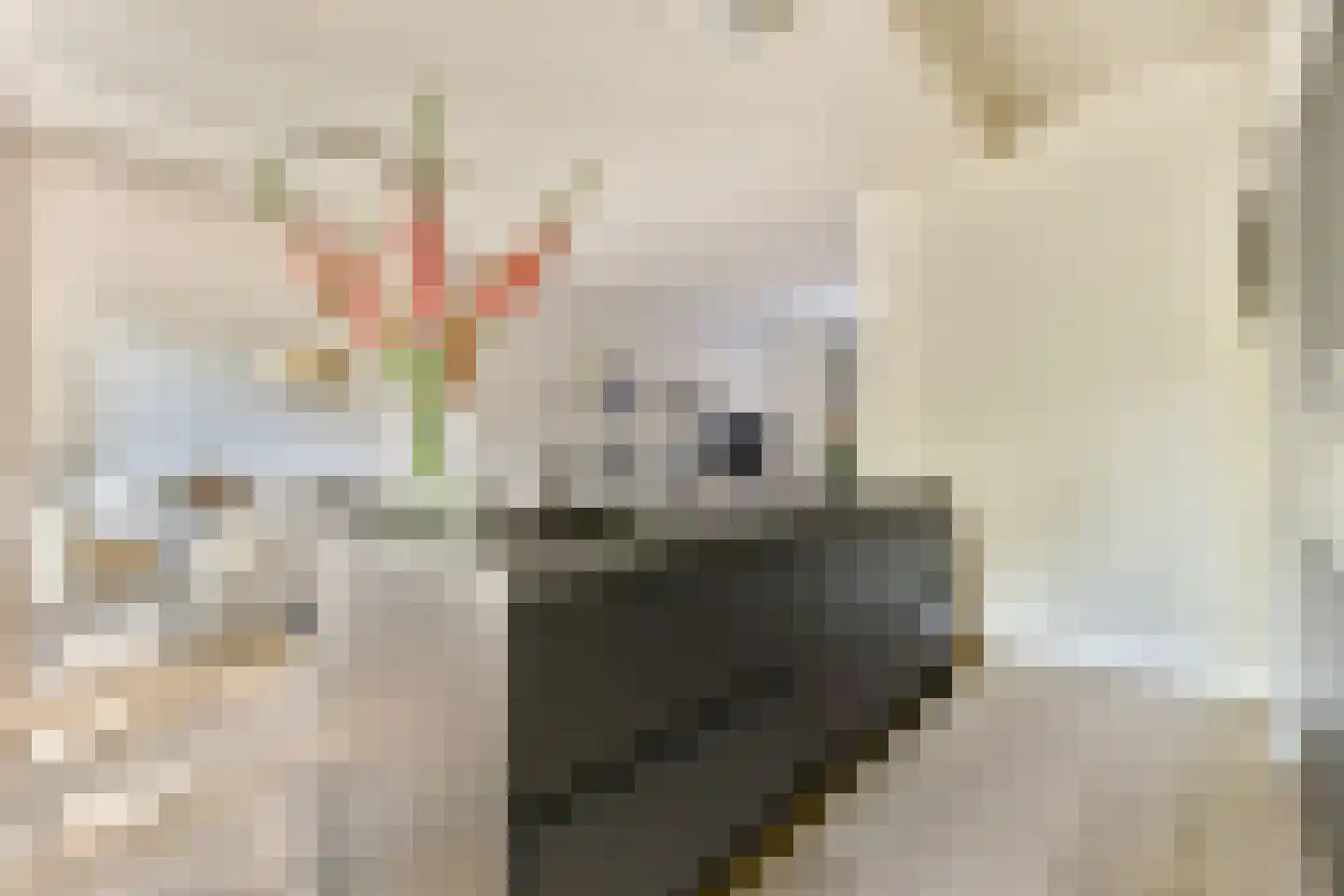 Admiraal De Ruijterweg 527 H Amsterdam thumbnail 7