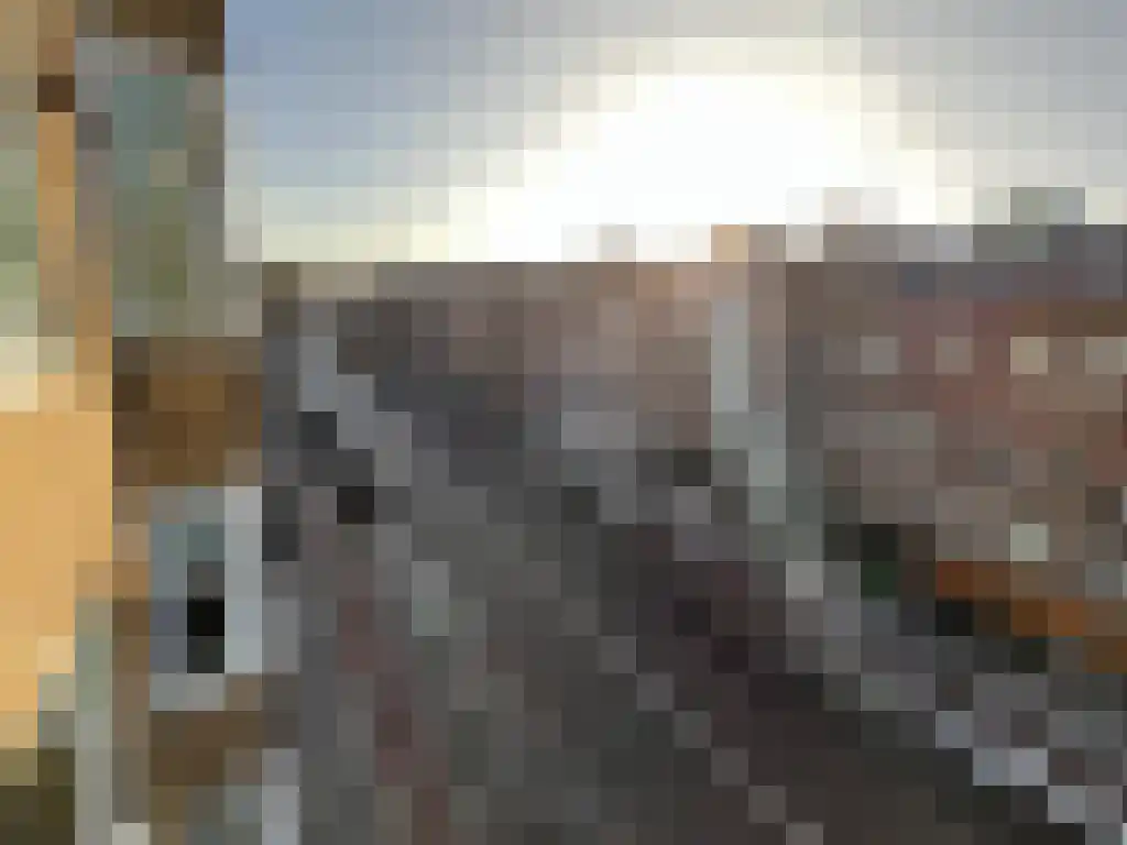 Admiraal De Ruijterweg 60 3 Amsterdam thumbnail 5