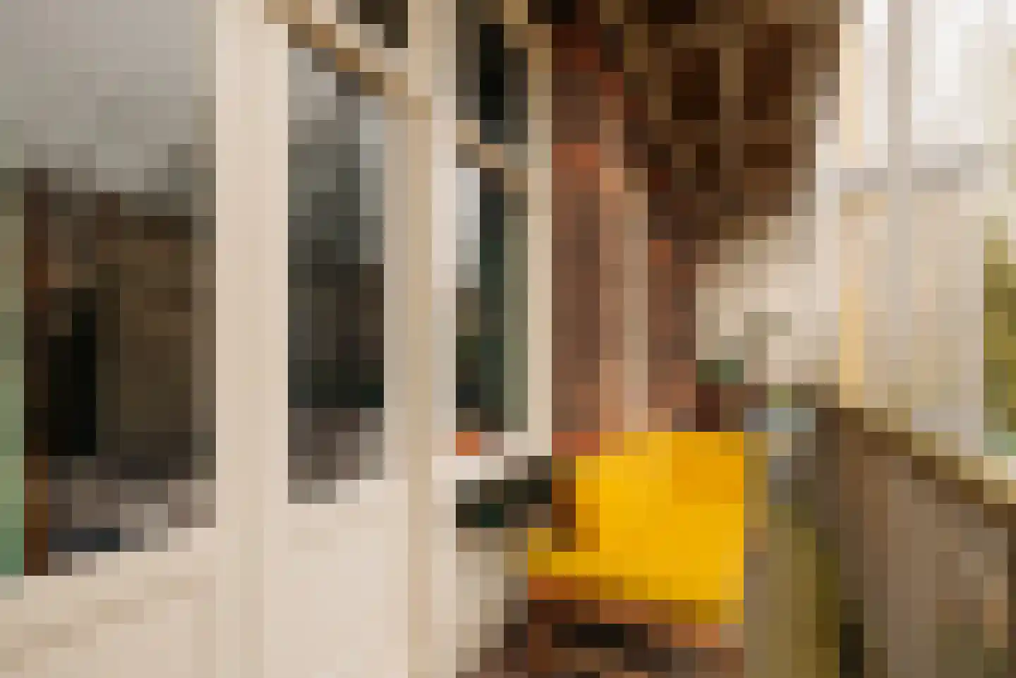 Admiraal De Ruijterweg 68 2 Amsterdam thumbnail 22