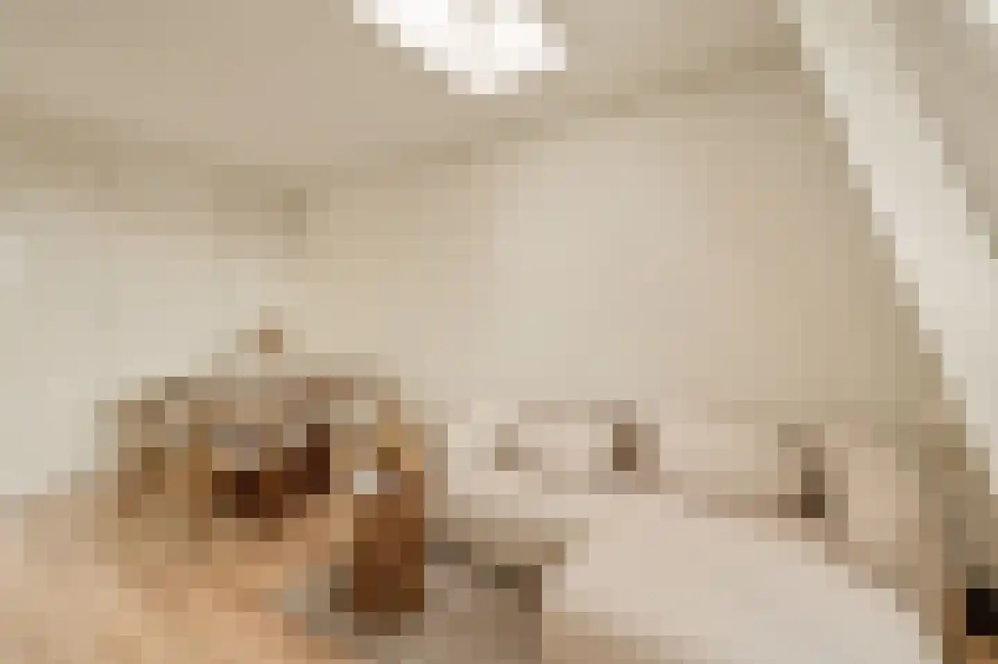 Admiraal De Ruijterweg 76 K Amsterdam thumbnail 7