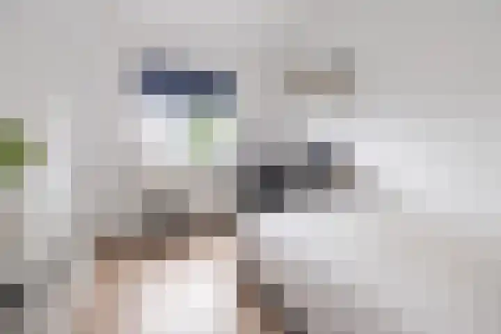 Admiraal de Ruyterlaan 109 Hilversum thumbnail 11