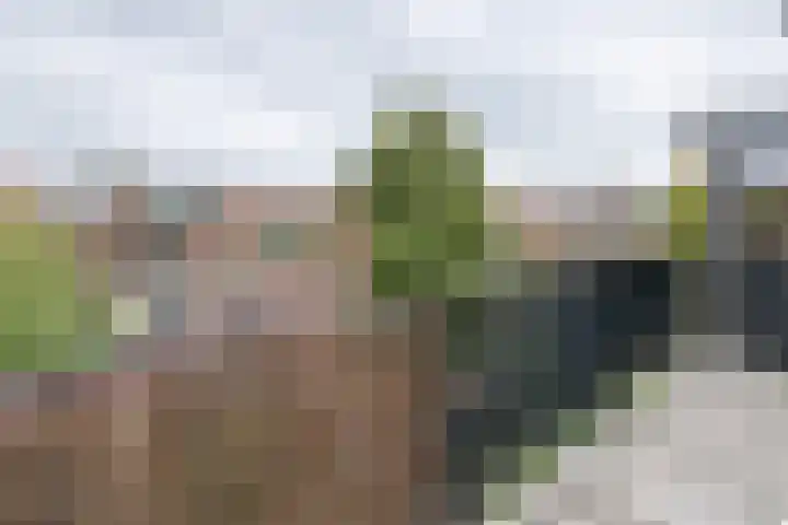 Admiraal de Ruyterlaan 109 Hilversum thumbnail 15