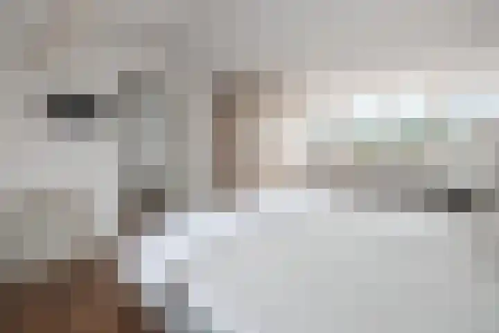 Admiraal de Ruyterlaan 109 Hilversum thumbnail 21