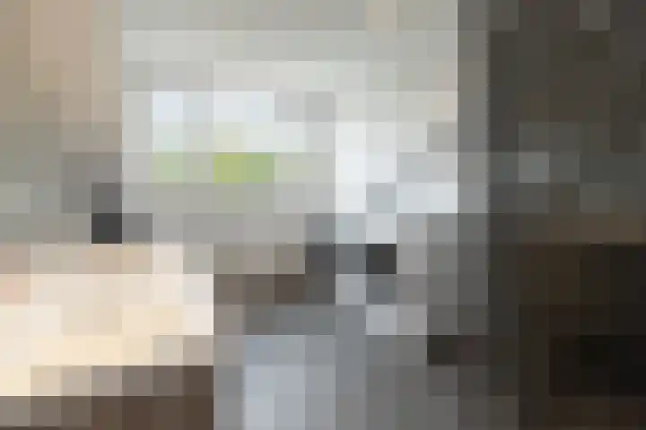 Admiraal de Ruyterlaan 109 Hilversum thumbnail 22