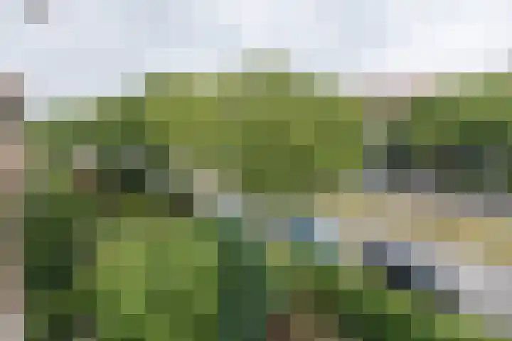 Admiraal de Ruyterlaan 109 Hilversum thumbnail 8